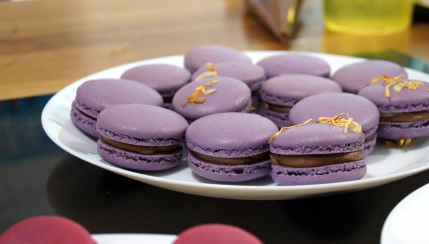 Podsumowanie pierwszych makaronikowych szkoleń